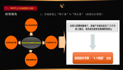 房地產(chǎn)營(yíng)銷(xiāo)策劃全案解析 從策略到執(zhí)行